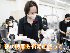 夜間部の時間帯にお散歩♪